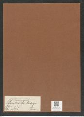 Denticella heibergii Grun. (de-Toni-Nr.: Genus 125, Species 3524) Zeichnungen Sammlung Grunow Mappe 03706 (Herbarium_W_Grunow_drawings_Folder_03706)